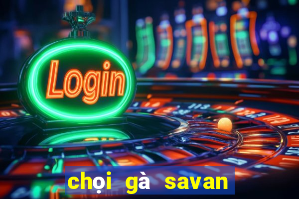 chọi gà savan trực tiếp