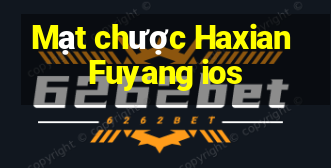 Mạt chược Haxian Fuyang ios