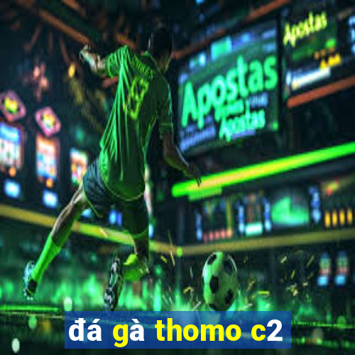 đá gà thomo c2