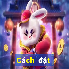 Cách đặt cược XSCM ngày 3