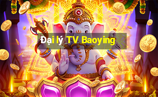 Đại lý TV Baoying