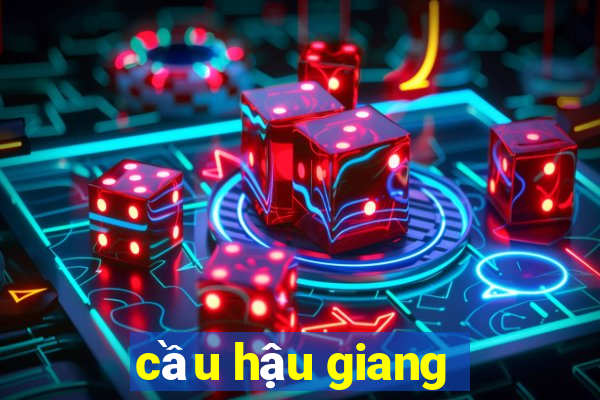 cầu hậu giang