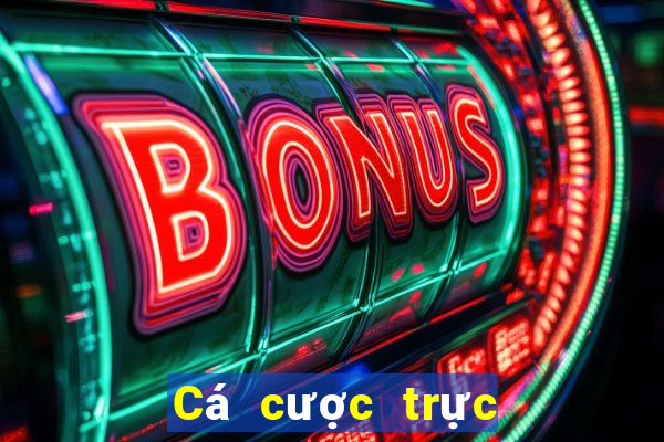 Cá cược trực tuyến tyboi