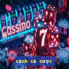 cách cá cược bóng đá trên 188bet