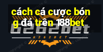 cách cá cược bóng đá trên 188bet