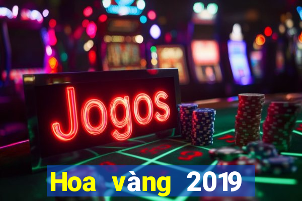 Hoa vàng 2019 của vua bull bull