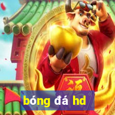 bóng đá hd