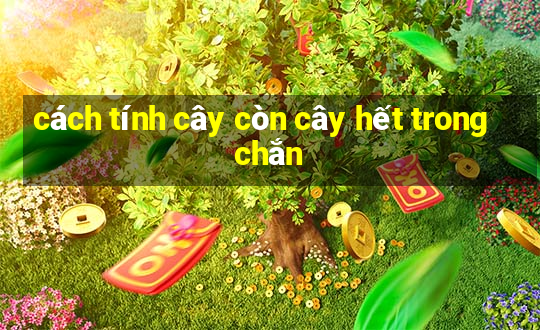 cách tính cây còn cây hết trong chắn