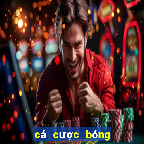 cá cược bóng đá webcacuoc88