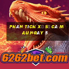 Phân tích Xổ Số Cà Mau ngày 5