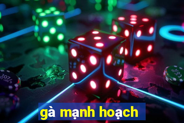 gà mạnh hoạch