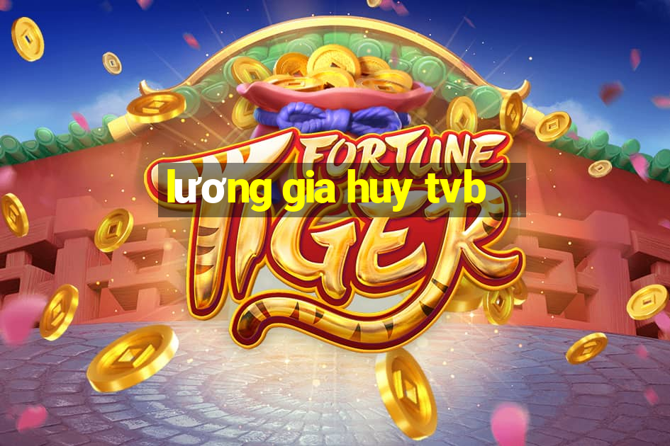 lương gia huy tvb