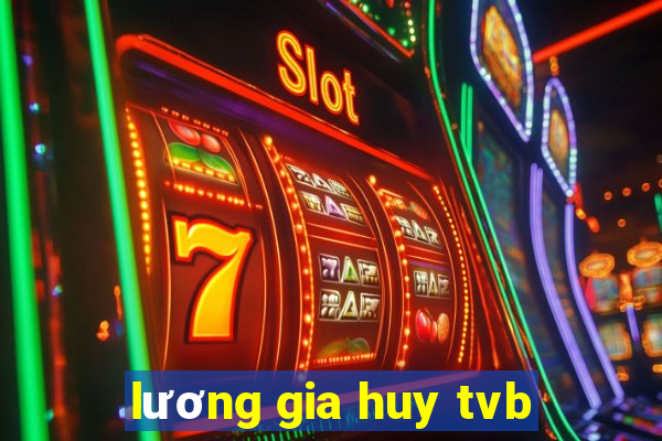 lương gia huy tvb