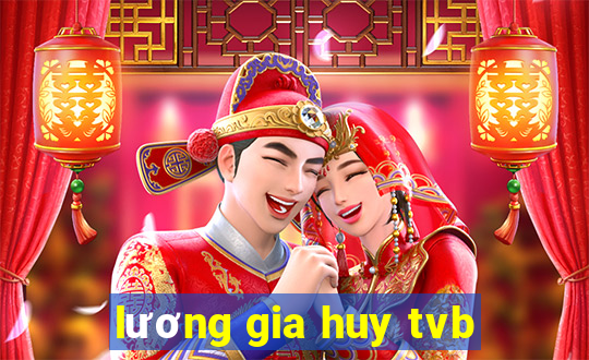 lương gia huy tvb