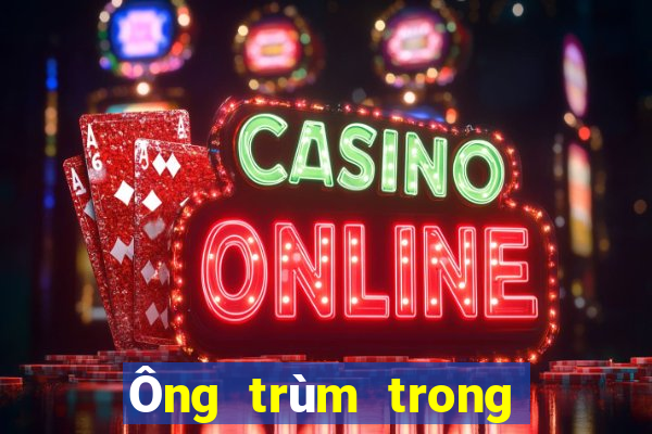 Ông trùm trong giới xổ số