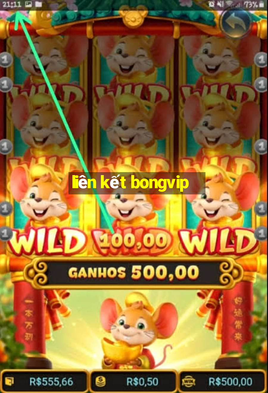 liên kết bongvip