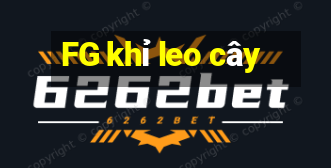 FG khỉ leo cây