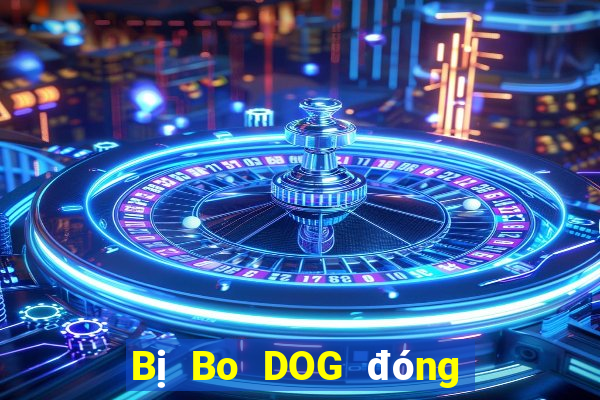 Bị Bo DOG đóng băng tài khoản