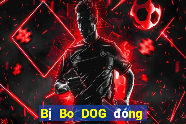 Bị Bo DOG đóng băng tài khoản