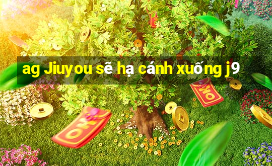 ag Jiuyou sẽ hạ cánh xuống j9