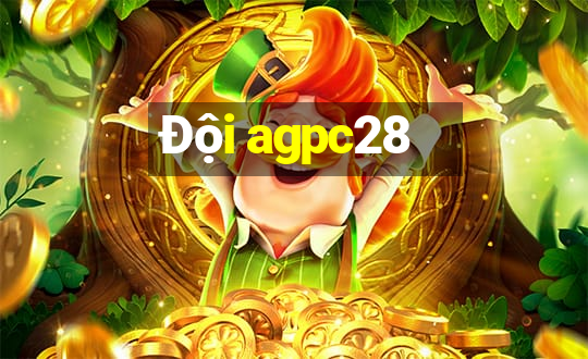 Đội agpc28