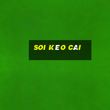 soi kèo cái