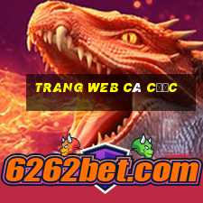 trang web cá cược