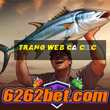 trang web cá cược