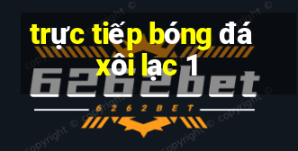 trực tiếp bóng đá xôi lạc 1