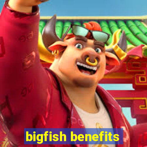 bigfish benefits