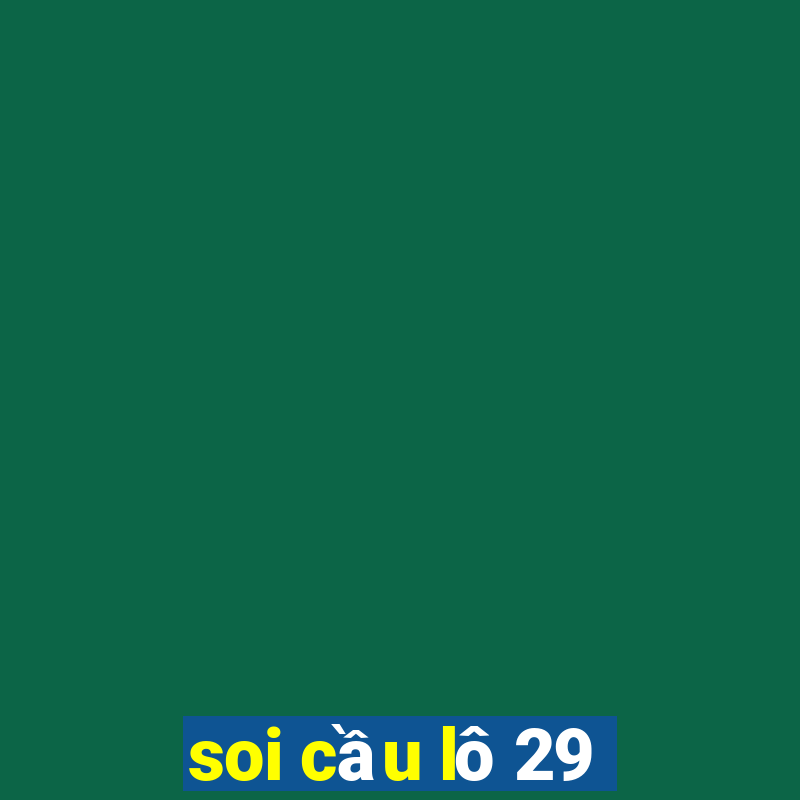 soi cầu lô 29