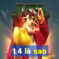 1 4 là sao