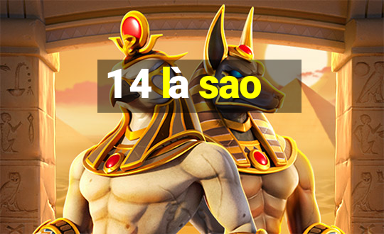 1 4 là sao