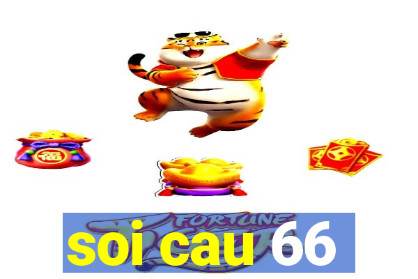 soi cau 66