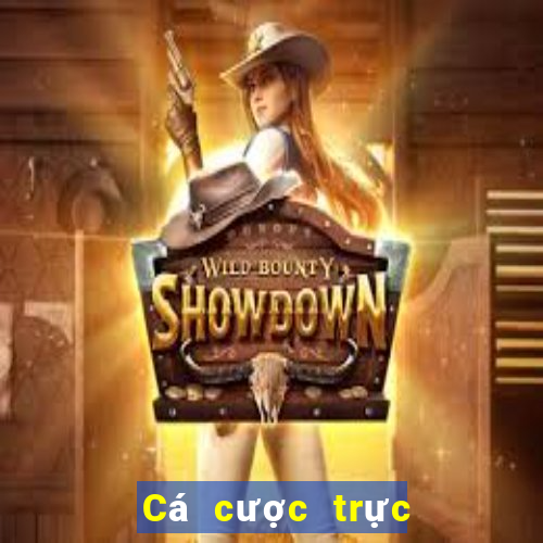 Cá cược trực tuyến wsmcasino