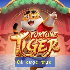 Cá cược trực tuyến wsmcasino