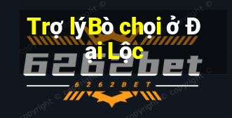 Trợ lýBò chọi ở Đại Lộc