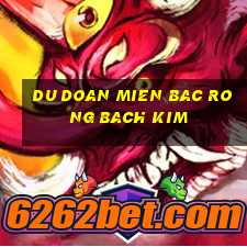 du doan mien bac rong bach kim