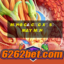 Mạng cá cược xổ số may mắn