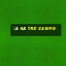 đá gà tre casino