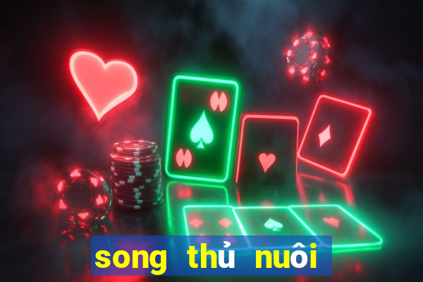 song thủ nuôi khung 3 ngày