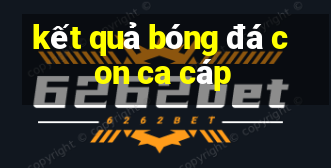 kết quả bóng đá con ca cáp