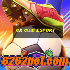 cá cược esport