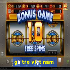 gà tre việt nam