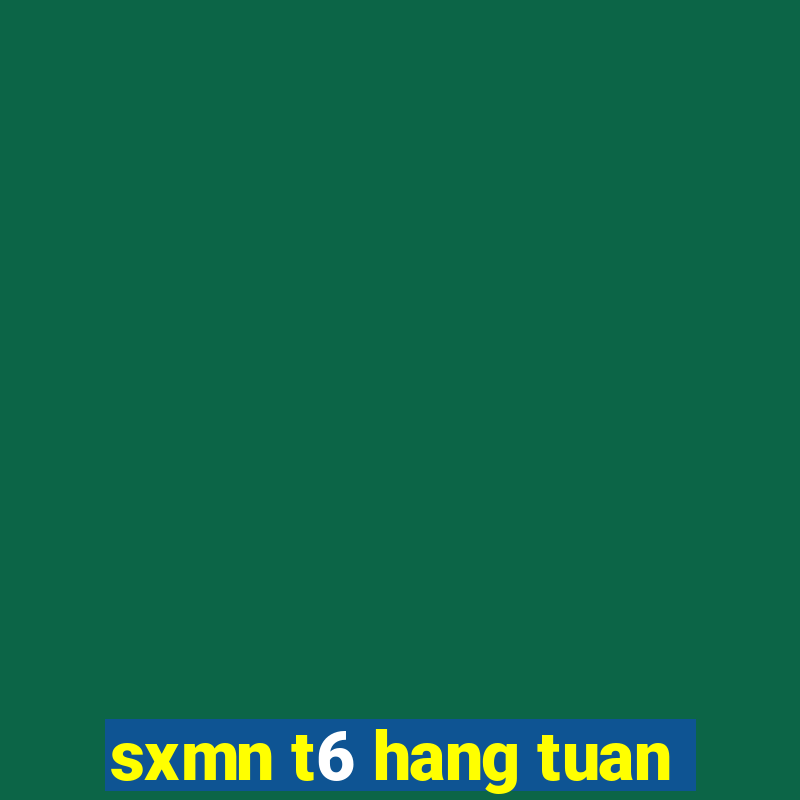 sxmn t6 hang tuan