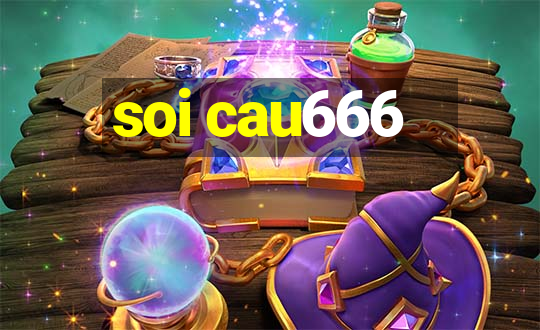 soi cau666