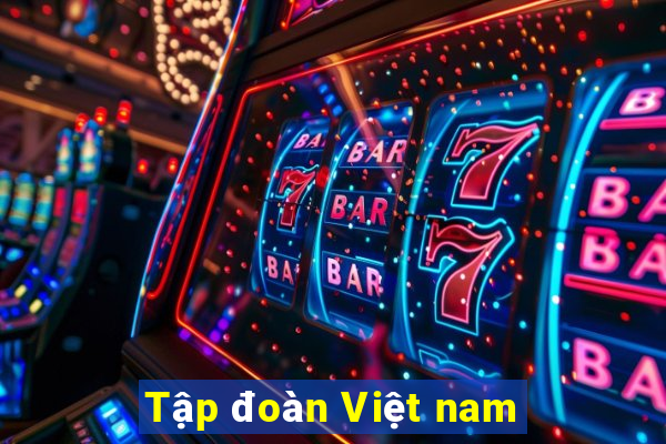 Tập đoàn Việt nam