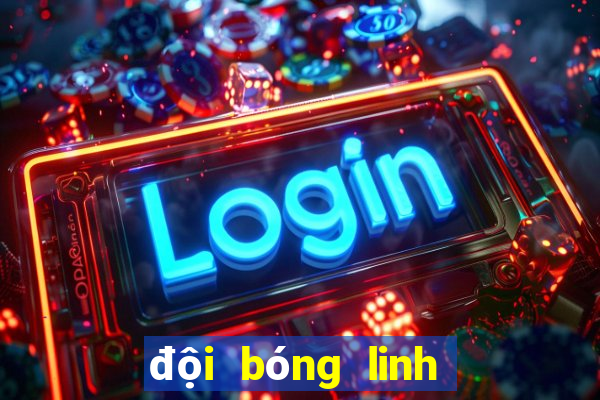 đội bóng linh dương đen