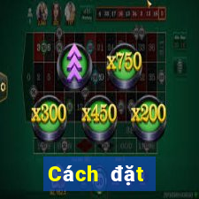 Cách đặt cược XSND Thứ 4