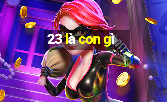 23 là con gì